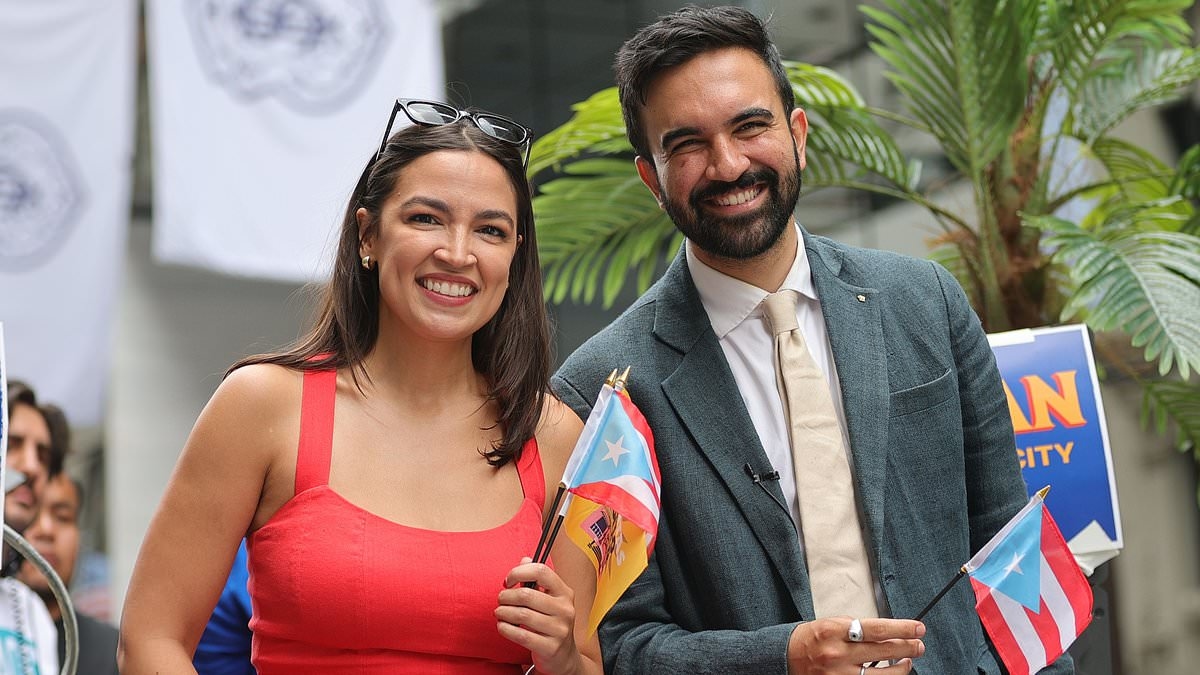 EXCLUSIVE Watch Democrats squirm as they're grilled on who's REALLY leading their party as young 'communists' rise in ranks