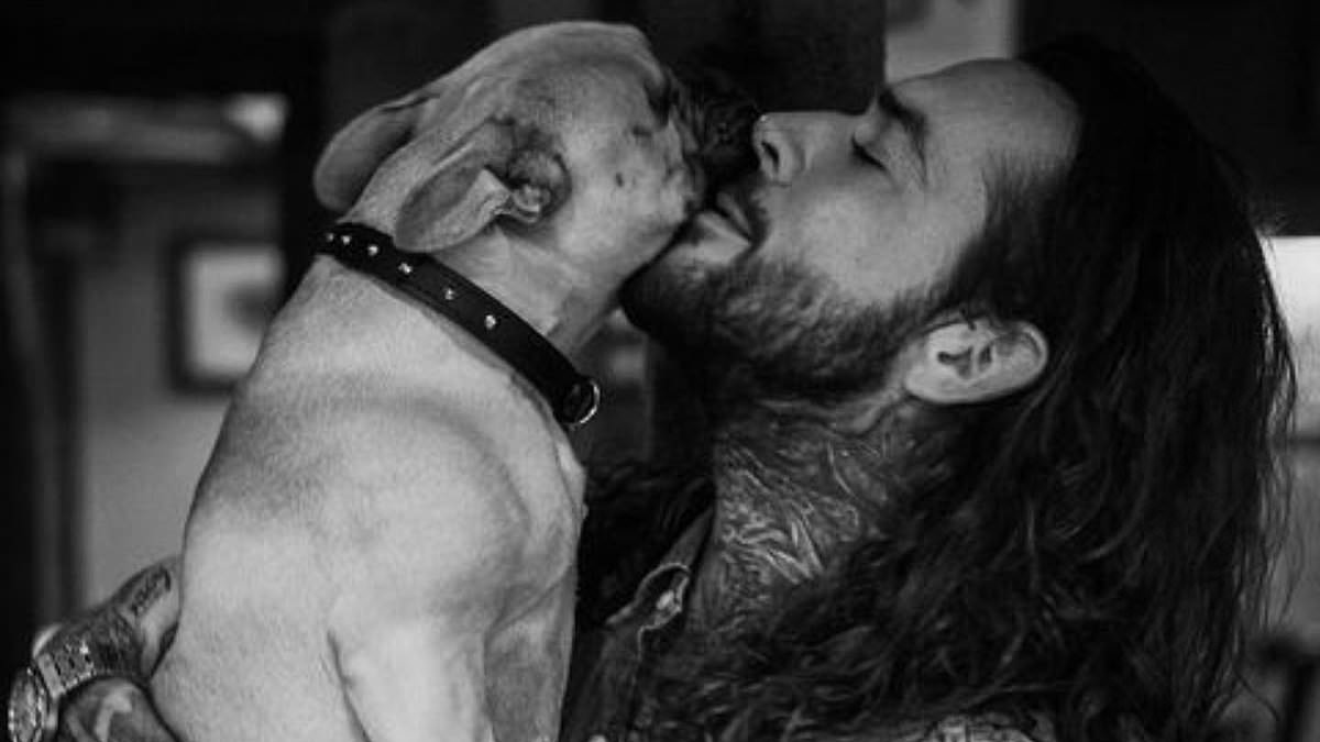 Pete Wicks confesses he's had a 'tough week' as he's reunited with beloved dog Peggy after nearly 'losing her'