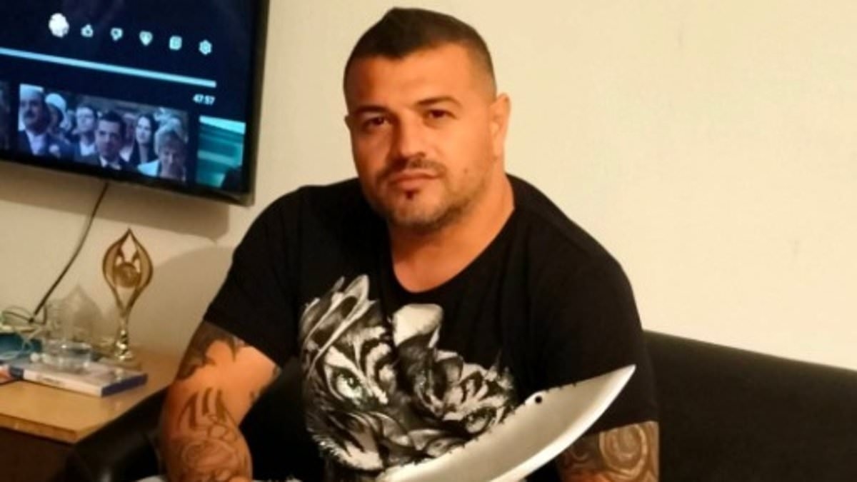 EXCLUSIVE He didn't know her, never visited, and wasn't at her funeral - yet this knife-wielding Romanian thug inherited a frail widow's home and sold it for £375,000 after police found a cannabis farm inside... so how DID his name end up on her will?