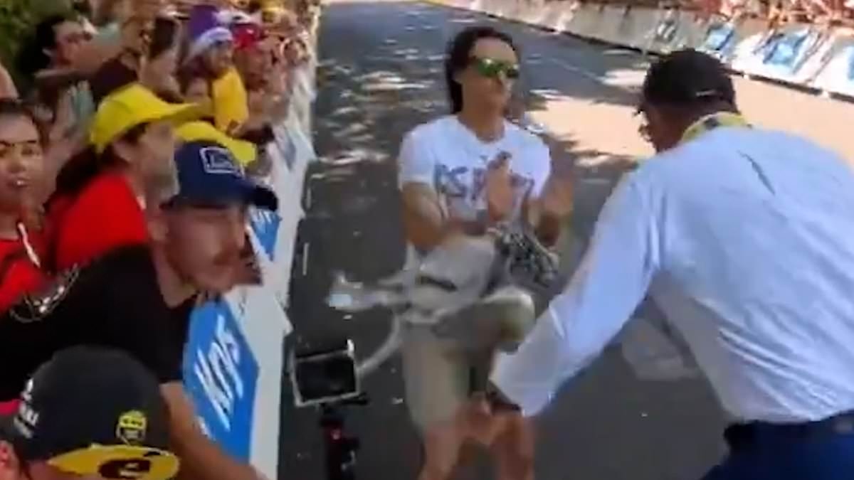 No-nonsense French security flips pro-Palestine protester trying to disrupt Tour de France over metal barrier
