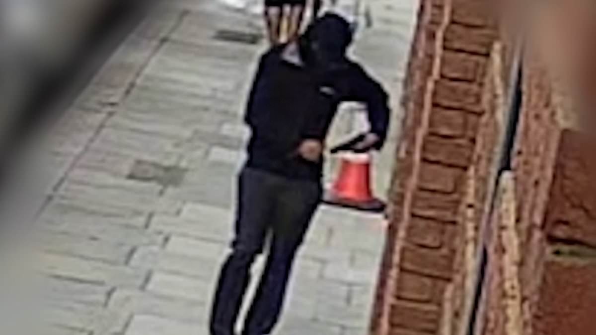 Chilling moment yob pulls out handgun and kills 15-year-old boy in Teletubbies Park before Notting Hill Carnival in 'West London gang war'