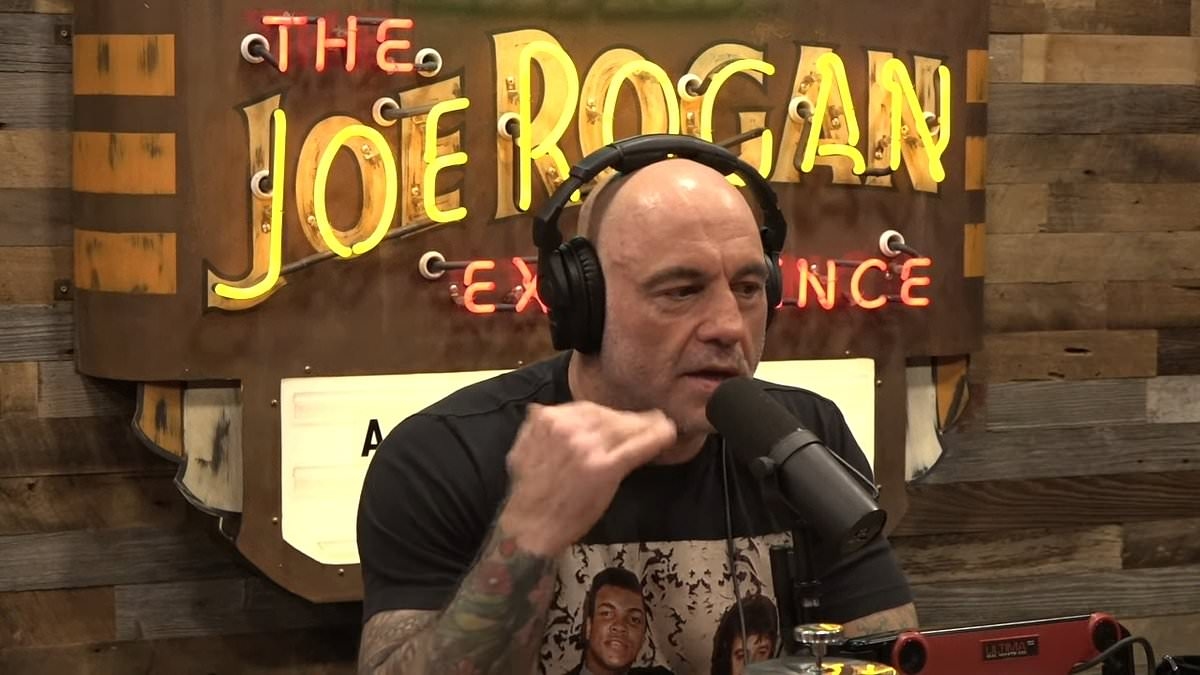 EXCLUSIVE How Joe Rogan became the world's richest podcaster: As he lounges on a £480k-a-week yacht, TOM LEONARD reveals secrets behind former delivery man's empire - and exactly how much he makes