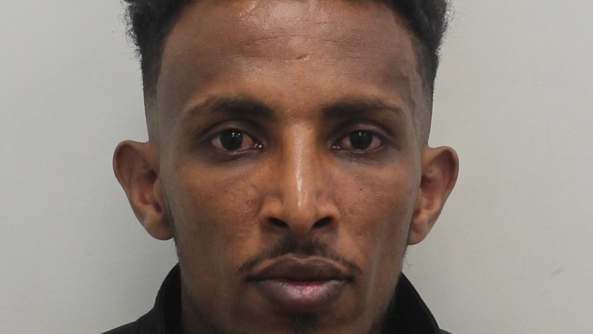 Channel migrant who sexually assaulted teenage girl with special needs in broad daylight is jailed for 14 months