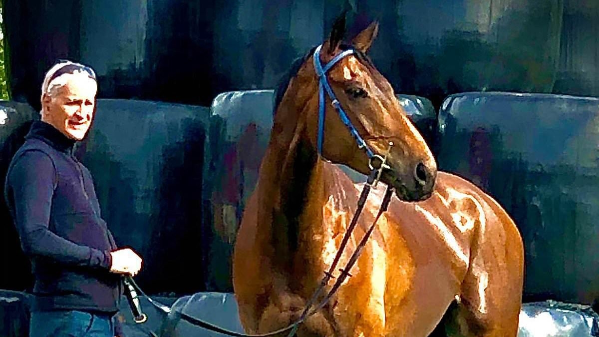 Former jockey who rescued injured children from school coach crash that killed boy, 10, says he 'can't sleep' from the horror of what he saw inside
