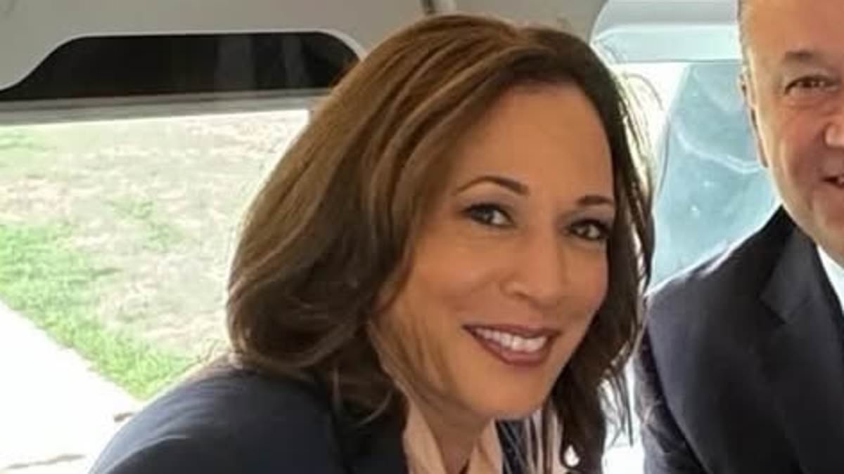 Insane oversight in the Democratic Party's autopsy of the disastrous 2024 election