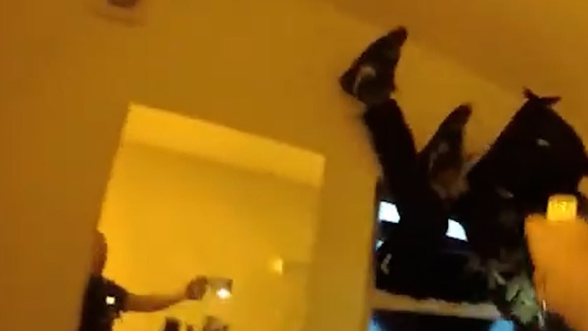 Thug left dangling upside down as he gets stuck in window while attempting to escape 'cannabis farm' during police raid
