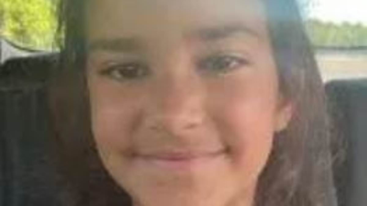 Girl, 9, in 'imminent danger' after being abducted in white van from Lake George in New York