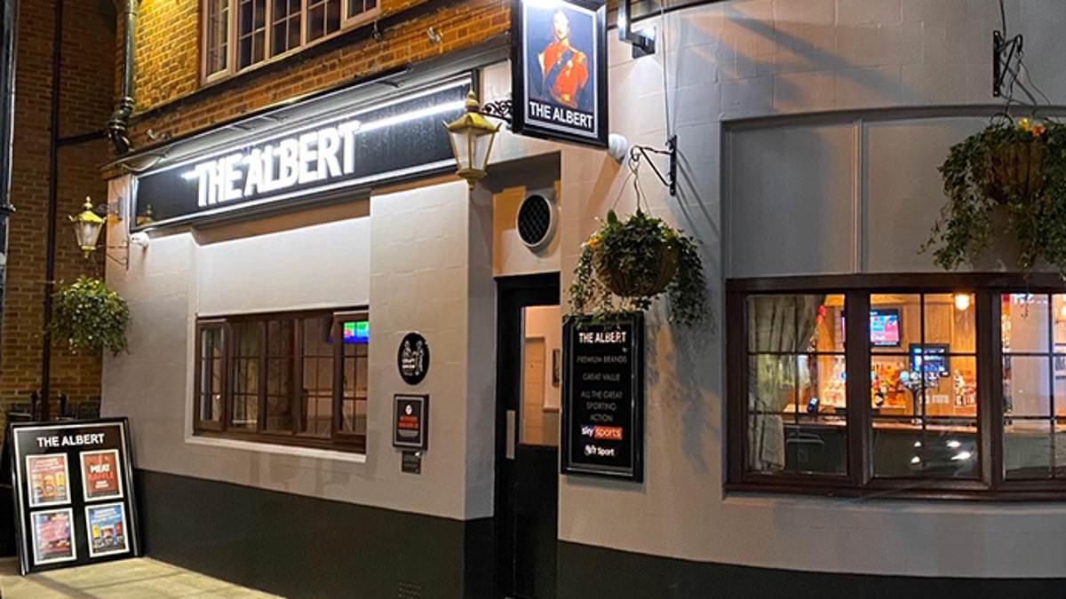 Man in his 20s is dead after car ploughs into London pub in early morning crash: Two arrested