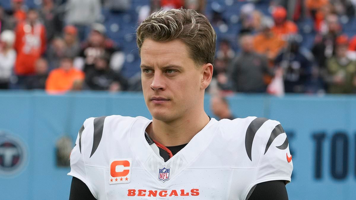 BREAKING NEWS Cincinnati Bengals sign ex-Falcons and Raiders QB to compete with Joe Burrow in 2025 season