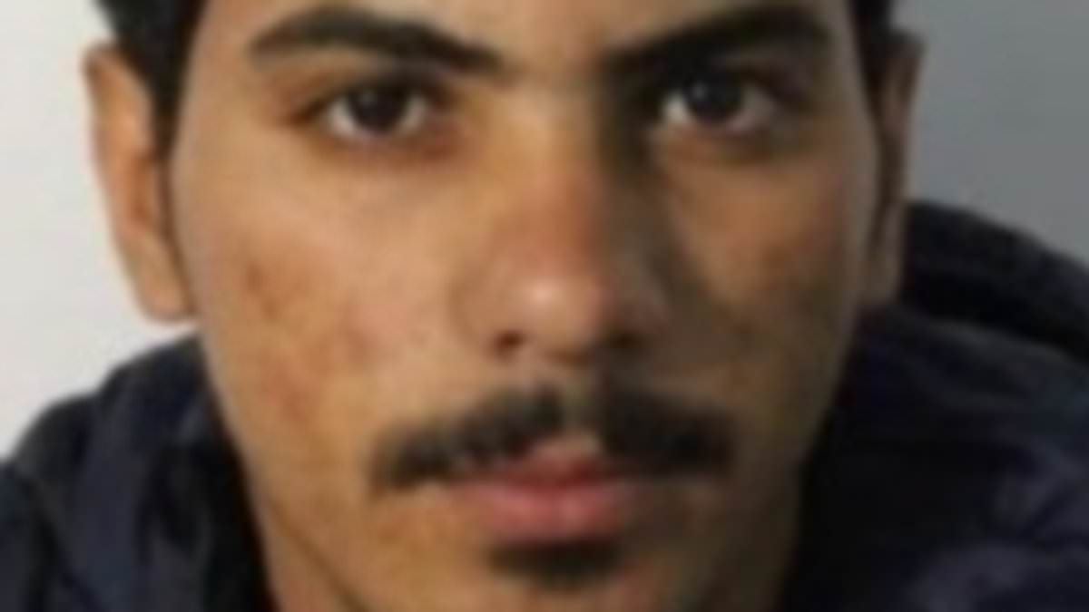 Migrant, 26, 'forced himself onto suicidal mother and kissed her on the lips when she refused to go back to his asylum hotel with him'