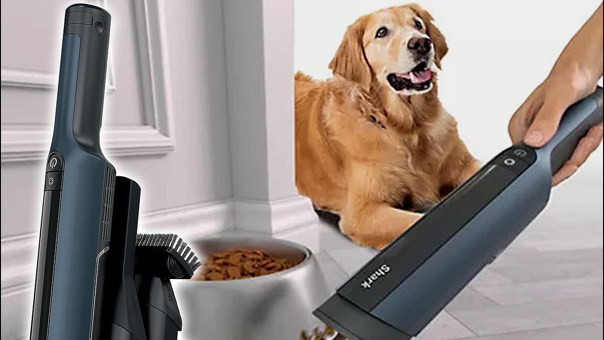 The viral Shark Wandvac with 'powerful' suction is 44% OFF with this exclusive code: 'Lifts off the cat hair'