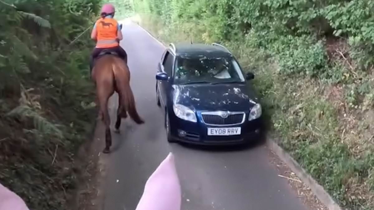 Moment equestrian admonishes motorist with her riding crop for going 'too fast' past her horse - but opinion is split if she is REALLY in the right
