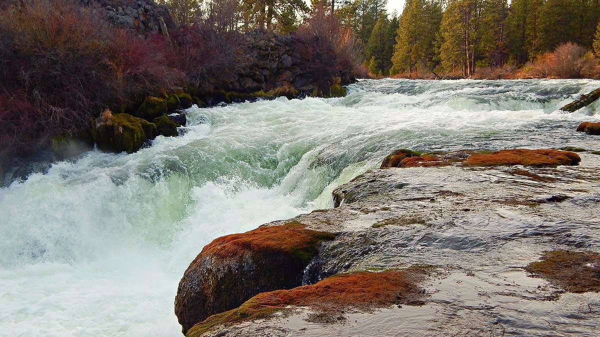 Double tragedy at stunning Oregon waterfall after group got too close to edge