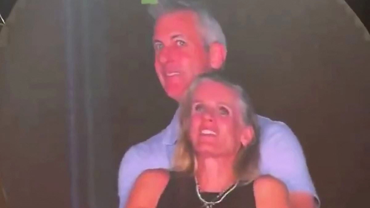 The Coldplay kisscam CEO's the kind of smarmy, Viagra-taking corporate pig women fear. I was cuckolded by one - I know the squalid truth: LIZ JONES