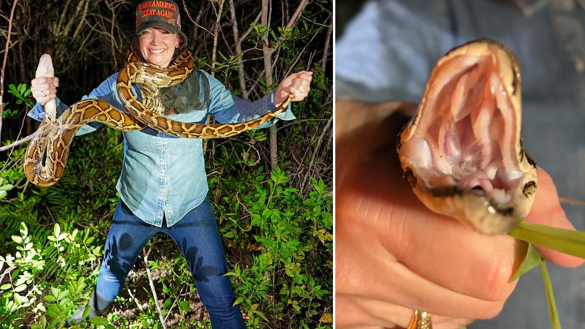 Trump's 'Swamp Barbie' Brooke Rollins gets her hands dirty with jaw-dropping python capture