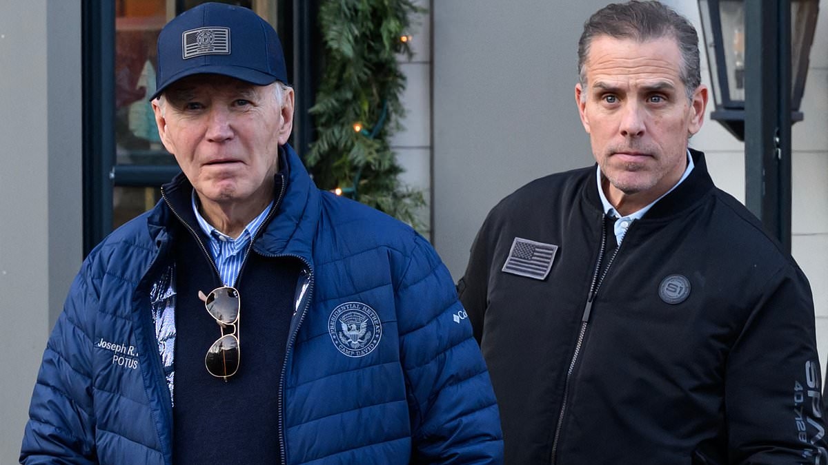 White House responds sharply to Hunter Biden's outburst