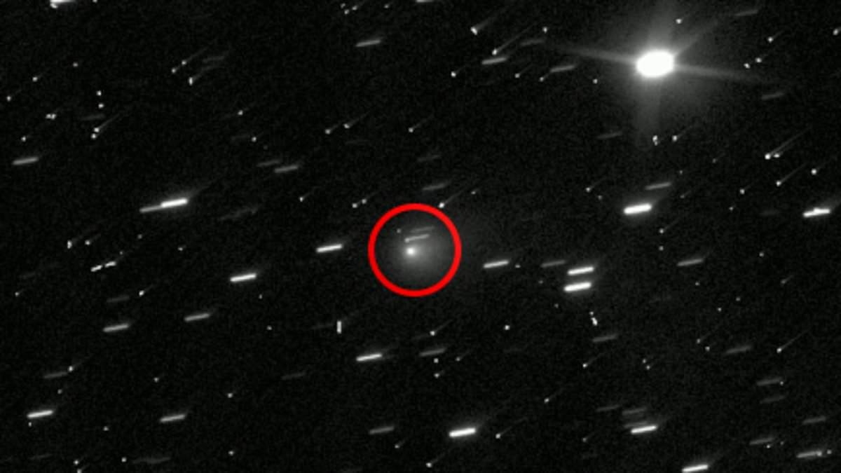 Interstellar object hurtling through our solar system may bring life from distant world