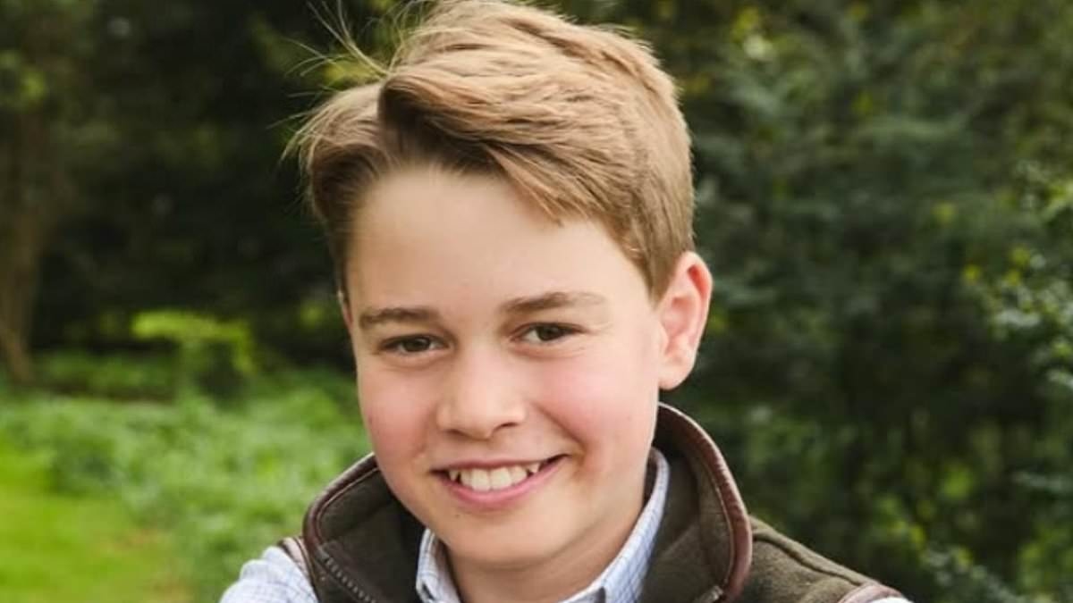 Royal fans gush over Prince George's resemblance to his father Prince William in charming 12th birthday portrait and say 'he'll make a fine King'