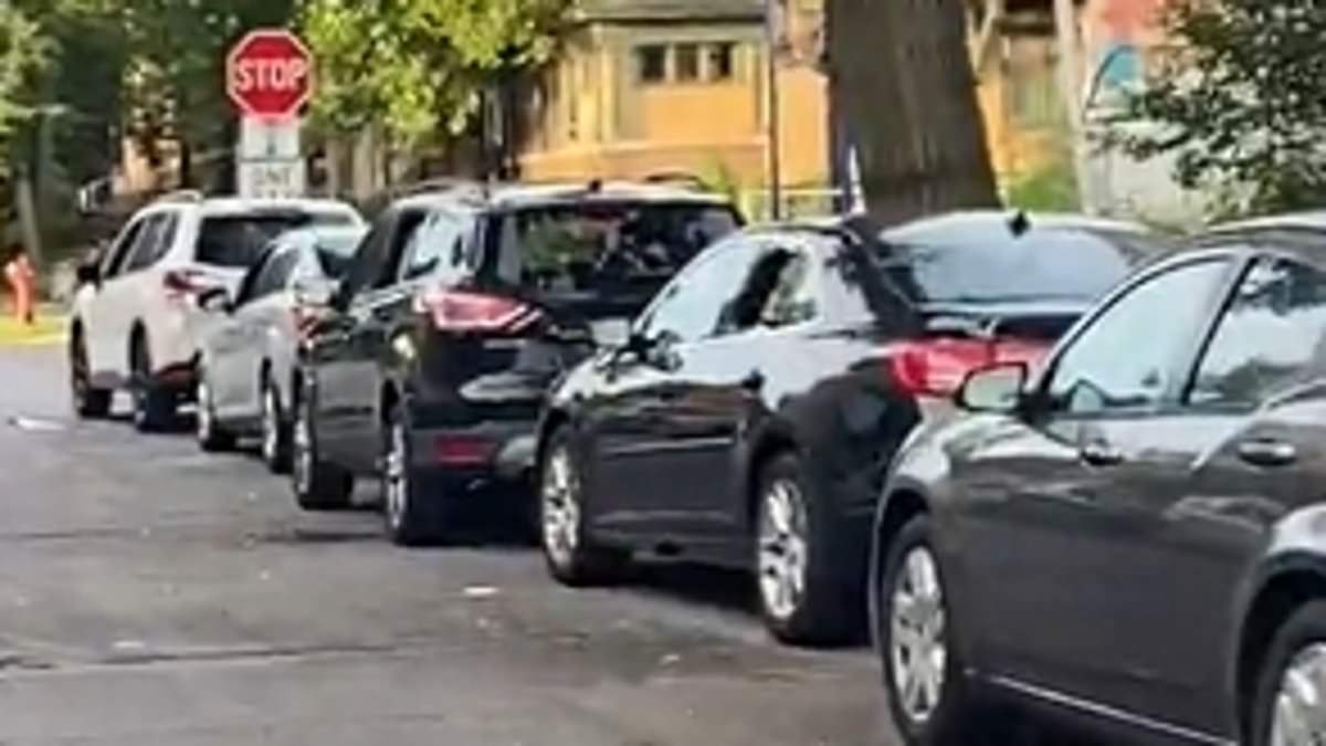 Car vandalism spree across Minneapolis