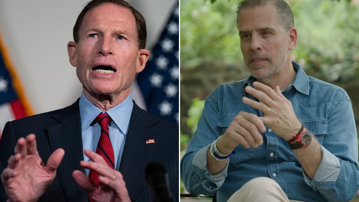 Senior Democrat rips into Hunter Biden's 'regrettable' claims about Joe being on sleeping pills