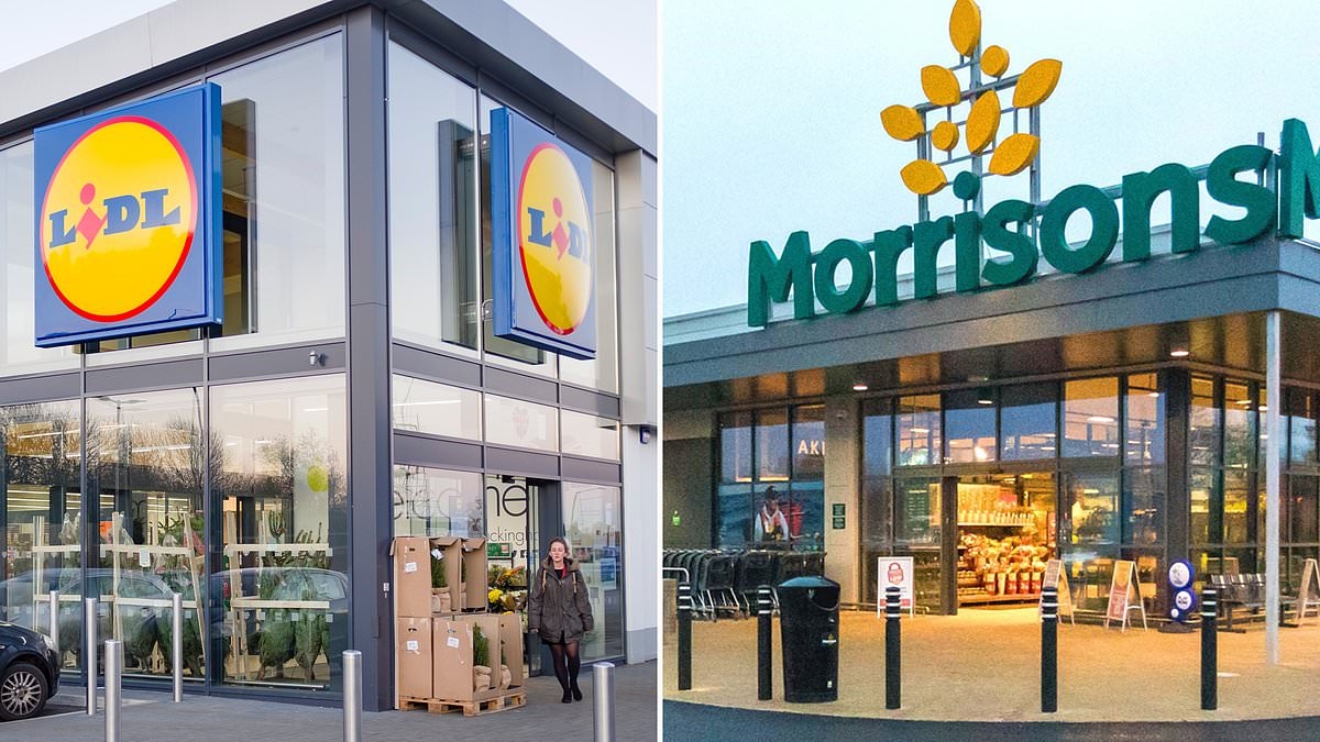 Lidl poised to overtake struggling Morrisons as UK's fifth largest supermarket