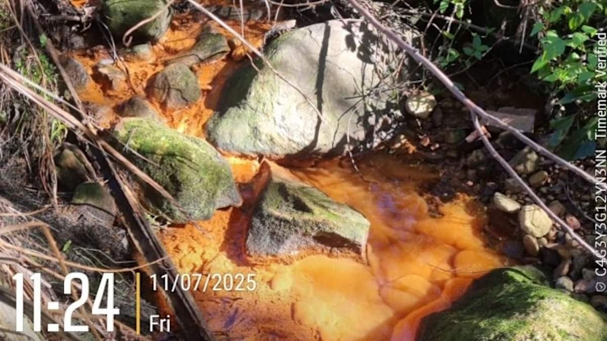 They want you to believe they're clean and green - but this Aussie council has a dirty little secret