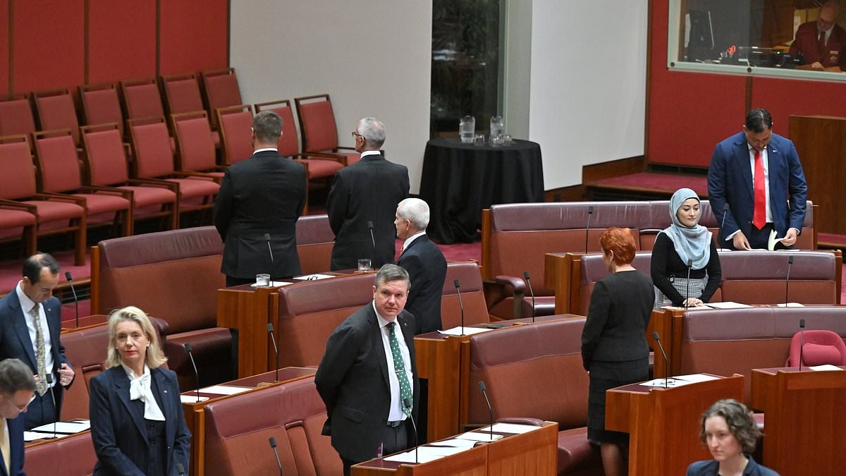 Backlash erupts over Pauline Hanson's Acknowledgement of Country stunt in Parliament - so do her critics have a point?