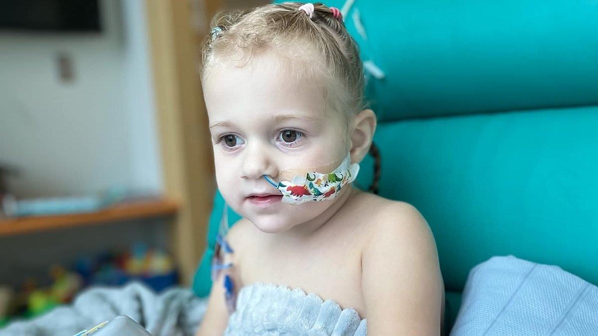 Millie's parents thought their three-year-old had a stomach ache and rushed her to hospital... now she's fighting for life after swallowing a very common household item