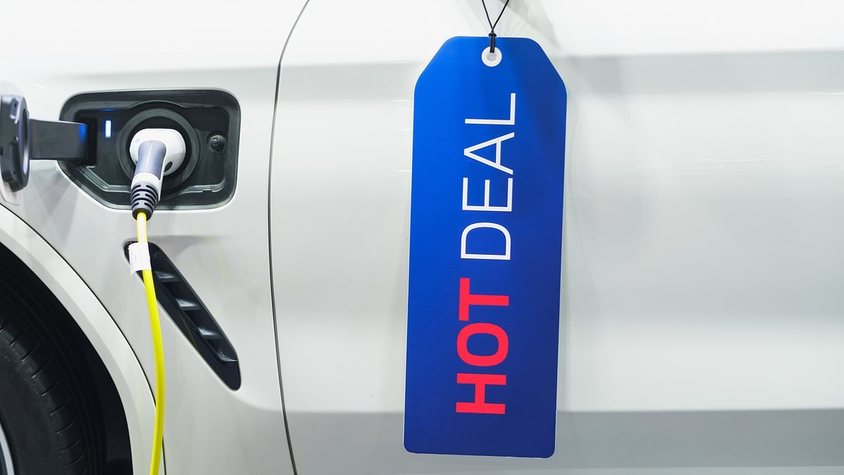 The car makers discounting EV models ahead of government grants