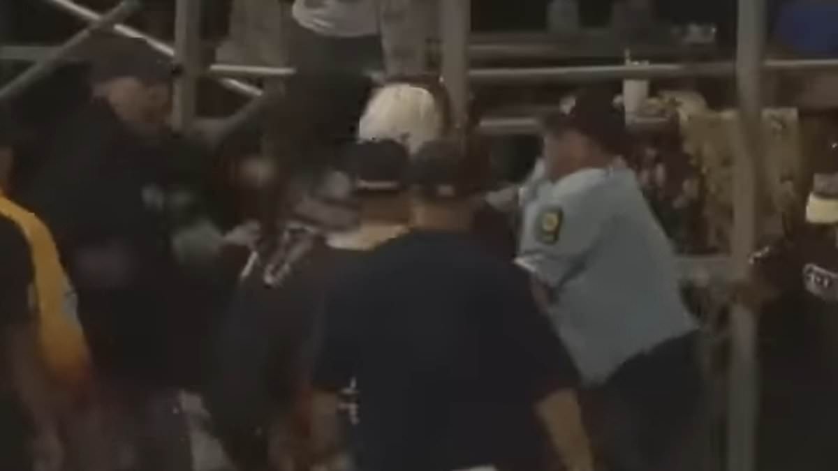 Massachusetts youth baseball game descends into chaos as players brawl with fans on the field