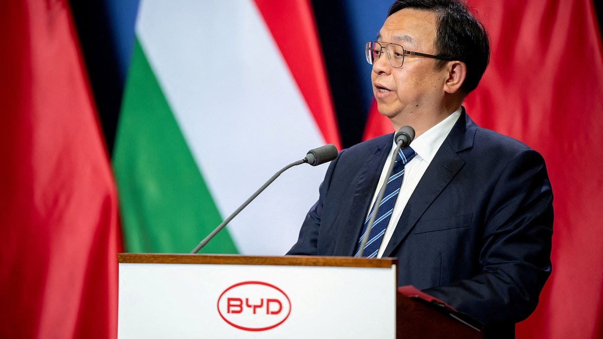 BYD fires against UK Government's EV grants