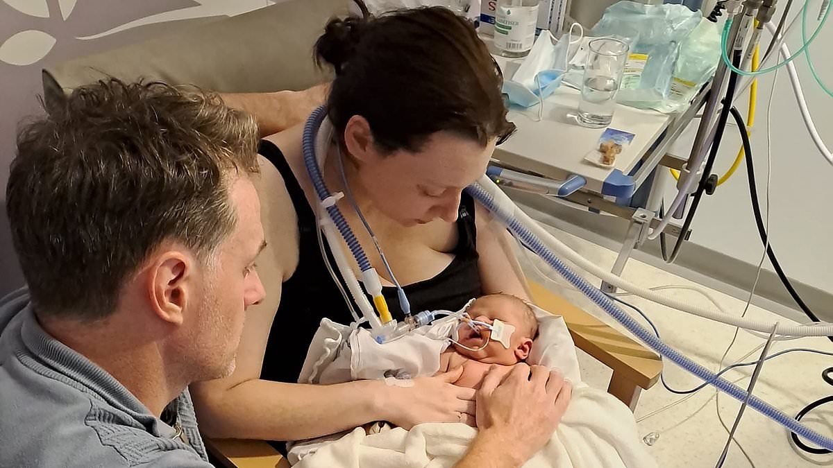 JENNI MURRAY: I would be terrified at the thought at giving birth today