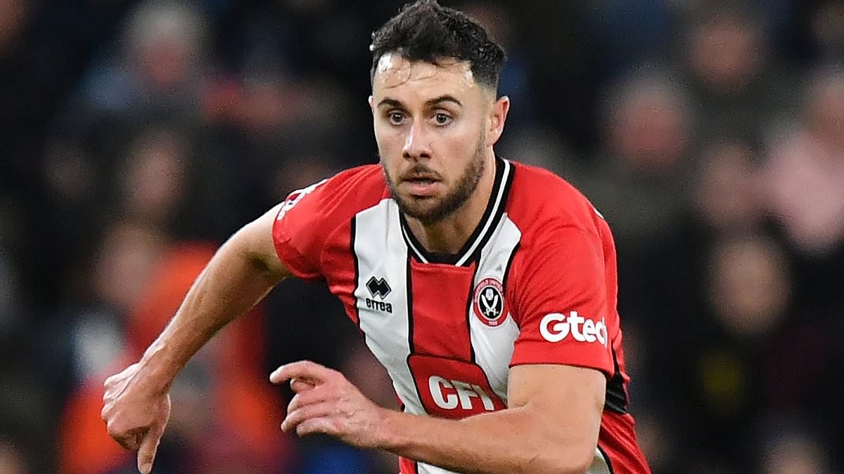 Former Sheffield United defender George Baldock, 31, had no alcohol or drugs in his system when he accidentally drowned in his own swimming pool