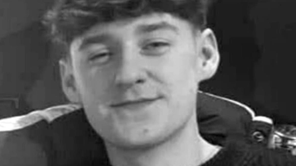 Grieving family of 19-year-old man killed in 'hit-and-run' urge driver to hand themselves in