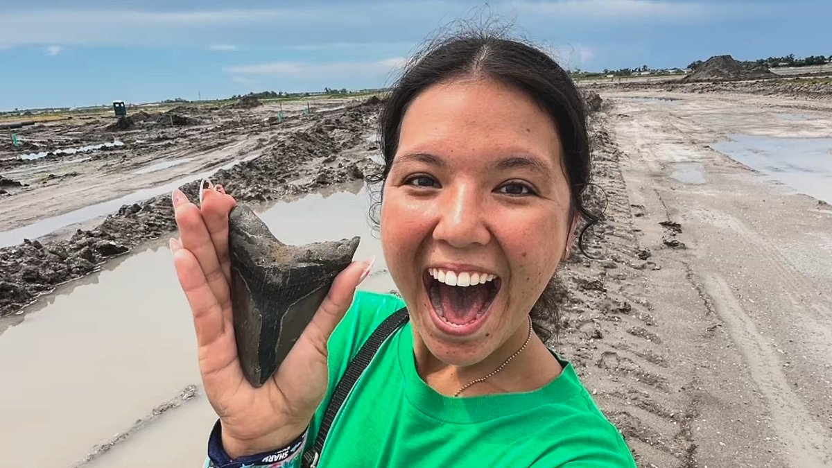 EXCLUSIVE Woman unearths massive tooth from terrifying prehistoric creature on US beach