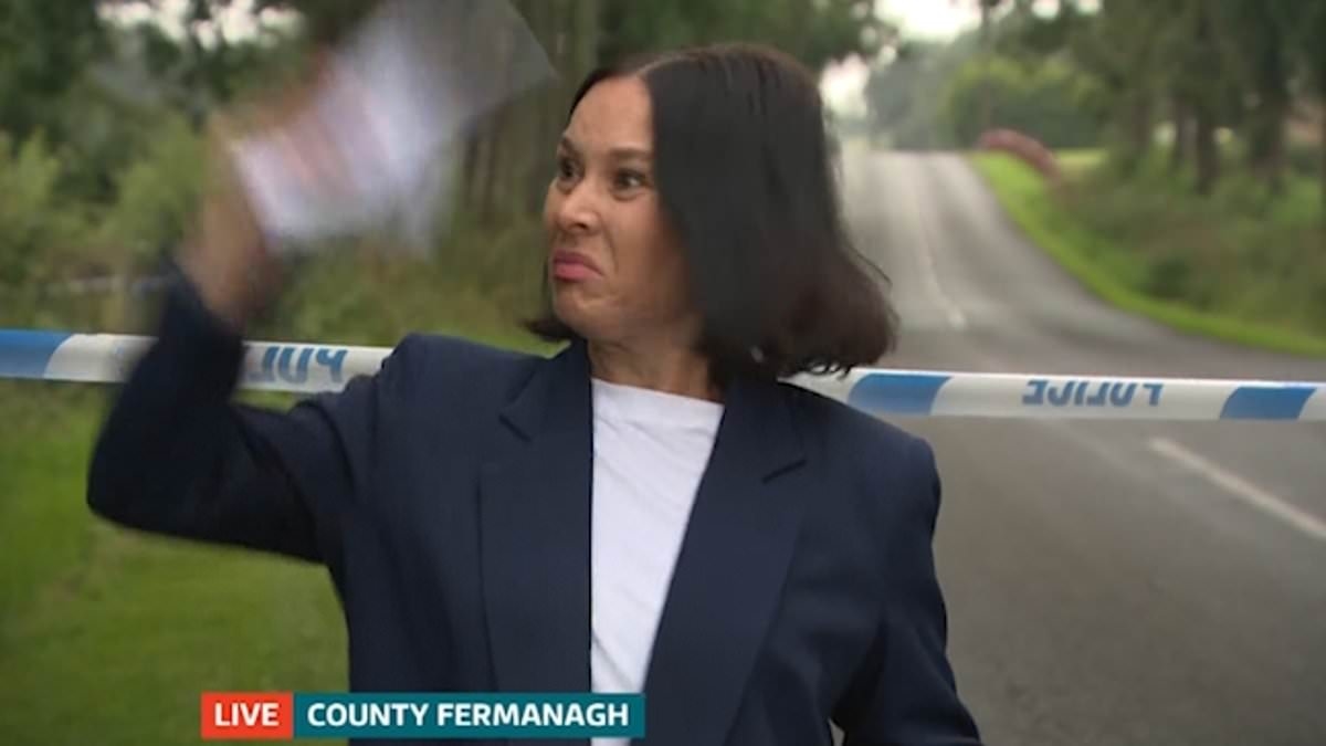 ITV News viewers spot hilarious on-air gaffe as flustered reporter frantically swats away a fly