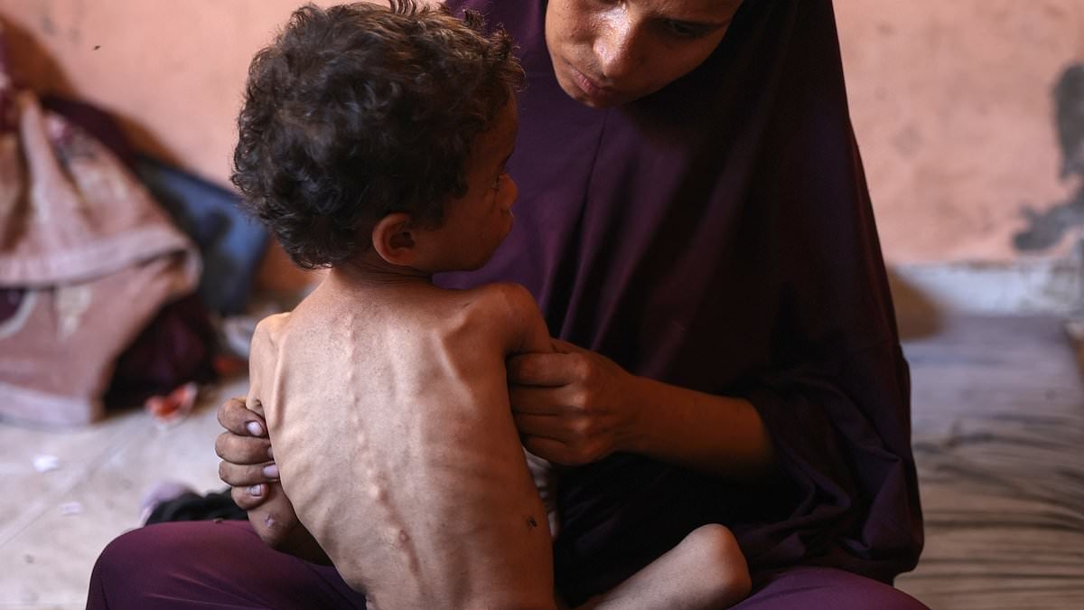 Israel is accused of 'mass starvation' as 100 charities blast aid blockade: At least ten people 'die of malnutrition' in 24 hours