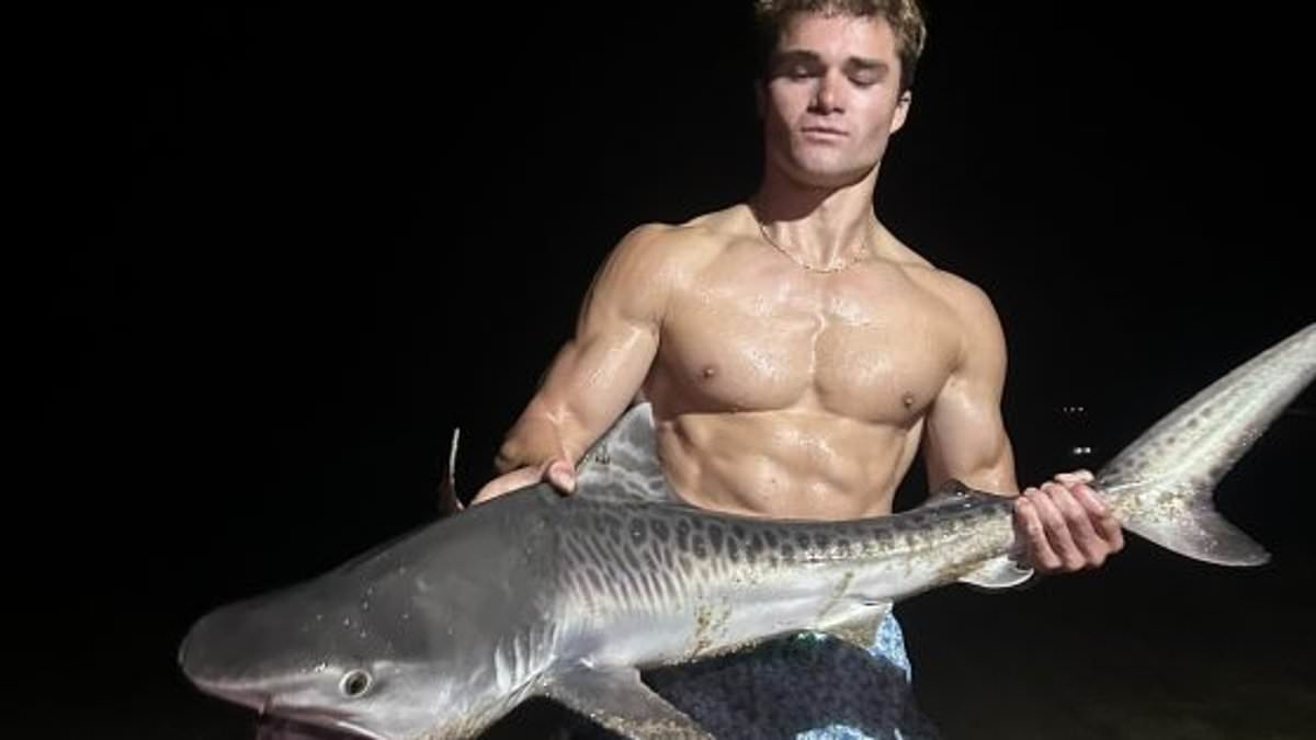 Fisherman catches very dangerous shark off Cape Cod as huge great white closes in on beloved peninsula