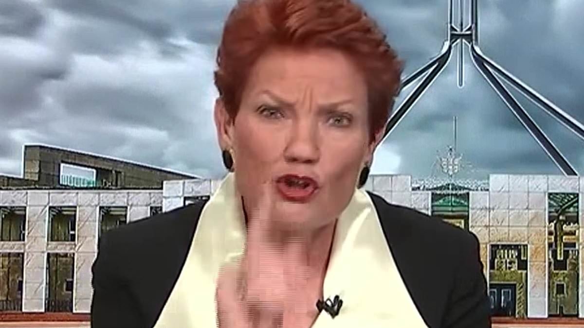Sky News host Chris Kenny tells off Pauline Hanson live on air