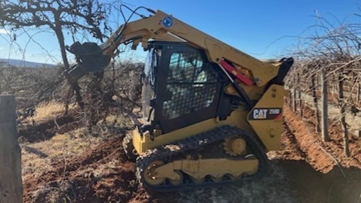 Shocking footage from rural Australia shows bulldozers tearing up vineyards