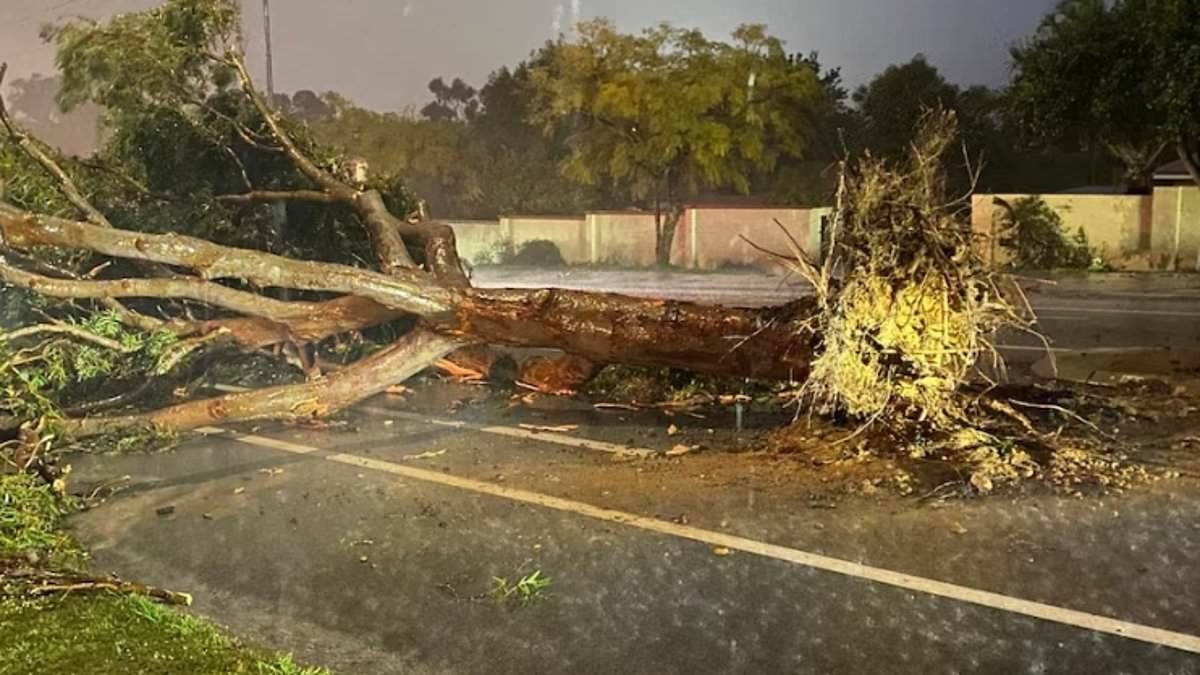 Tornado strikes Australia's exclusive suburb