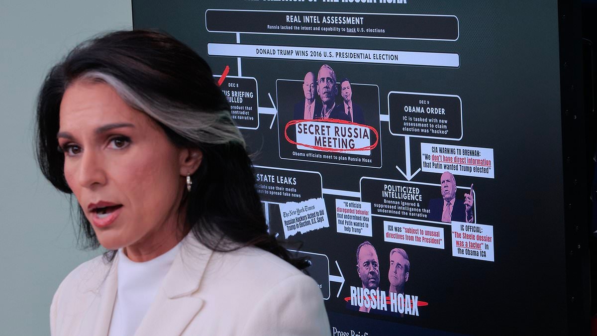 Tulsi Gabbard doesn't rule out if Epstein had foreign intel ties