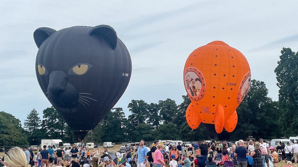 Deflated families brand balloon festival a 'rip-off' after £20-a-head event