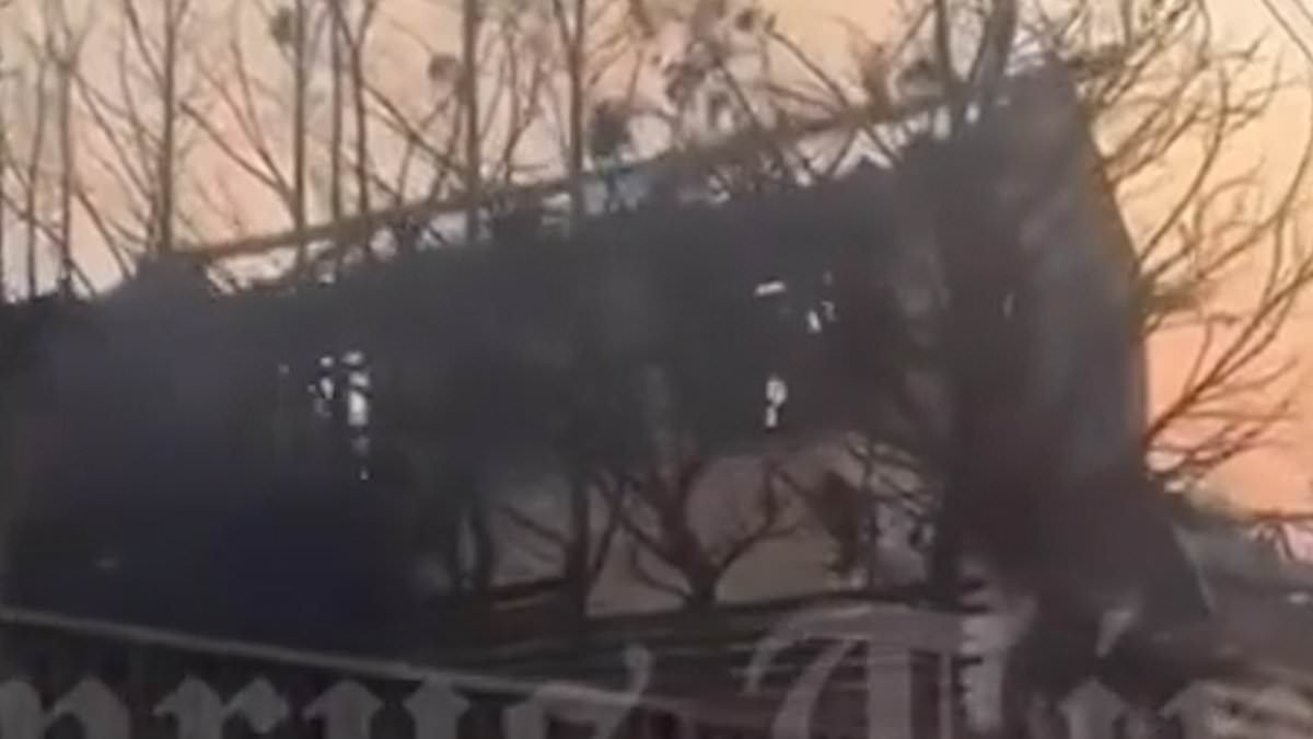 Shocking video shows rows of luxury villas reduced to ashes by deadly Cyprus wildfires 'started by arsonists' as couple are burnt alive trying to flee and officials hunt for missing people