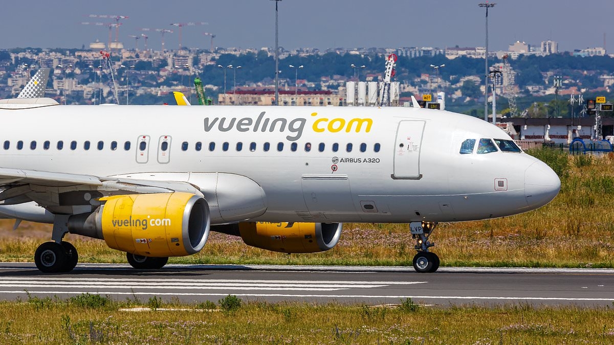 Dozens of Jewish children are removed from flight for being 'unruly' with summer camp teacher arrested - as airline denies anti-semitism claims