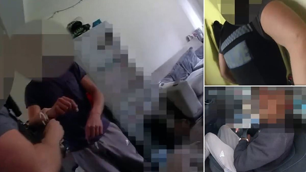 Police raid on 'Epping migrant hotel protester': Suspect is arrested at his home as a ring of steel is put up around two taxpayer-funded asylum seeker centres amid fears of riots