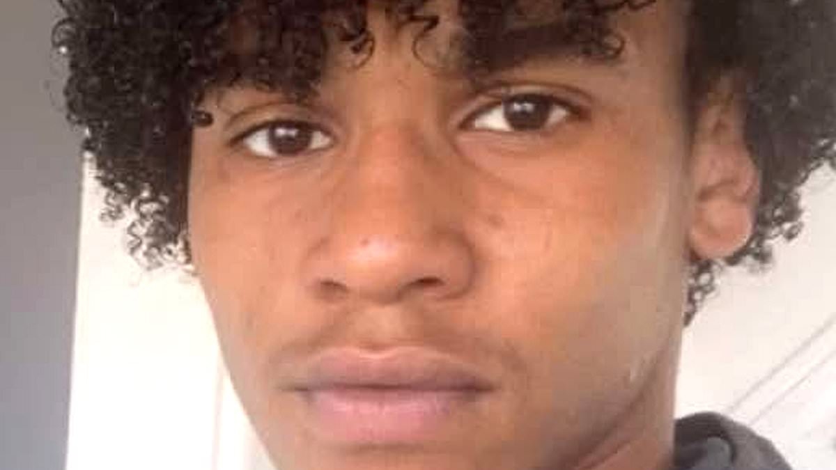 Boy, 15, is killed when car hits e-bike - as 59-year-old man appears in court charged with teen's murder