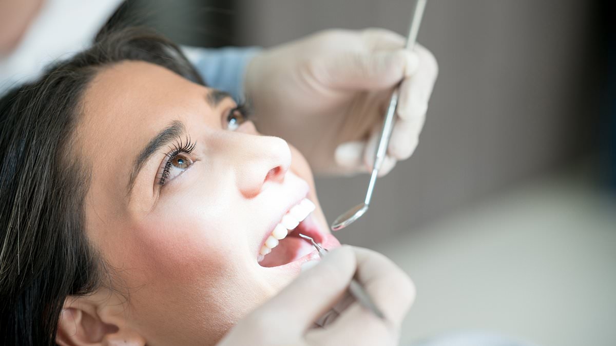 From oral sex to doing drugs, dentists can tell what you've been up to