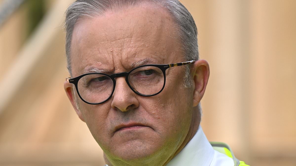 How Albanese's 1.2million housing policy failure and record immigration has created a new category of Aussies with nowhere to go