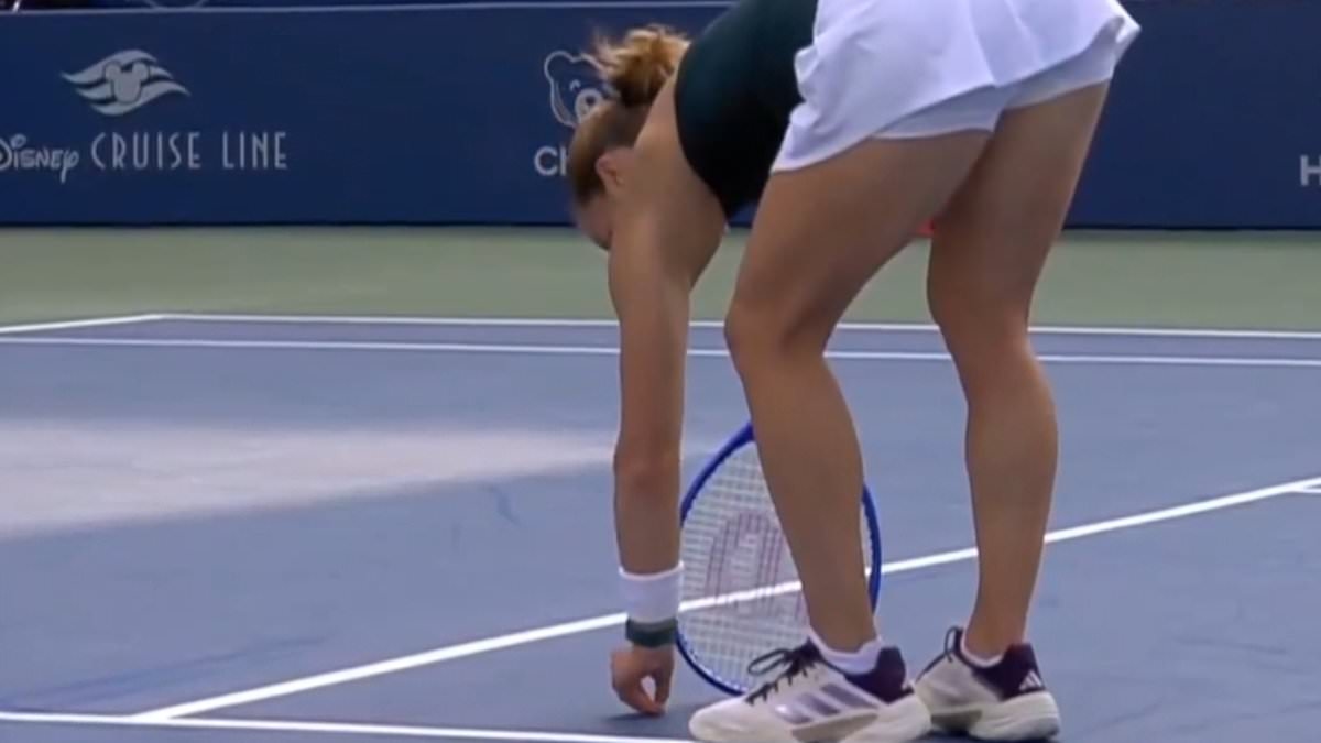 The bizarre moment tennis star saves a bug on the court - only for it to be SQUASHED just seconds later